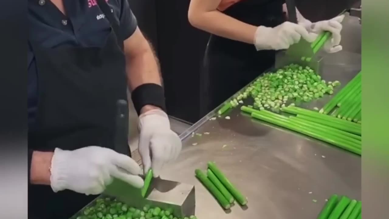 Satisfying Videos of Workers Doing Their Job Perfectly ▶11