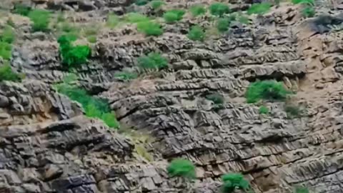 Fort Munro Tour #fortmunro #tourism #travling #shortvlog #trendingvideo