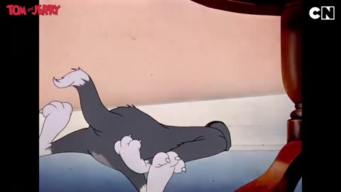 Tom and Jerry funny cartoon 😂🤣😅