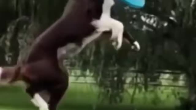 Wait til the end