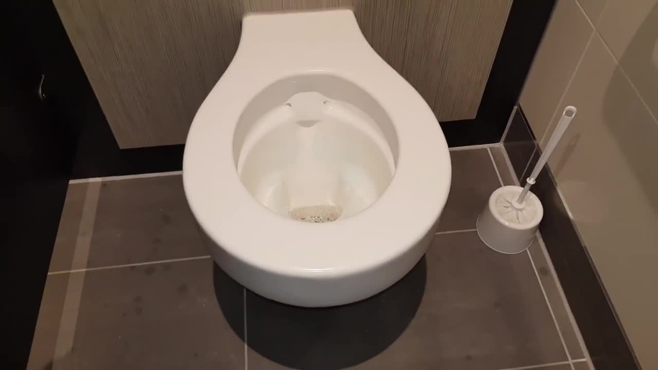 Wallgate Rimless toilet at Neath Train Station