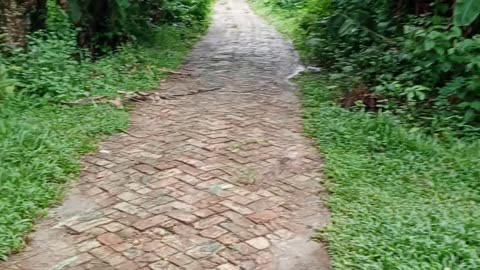 Green Road