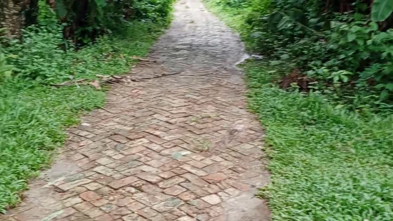 Green Road