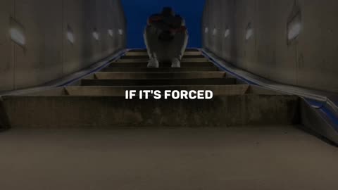 Remember the rule.