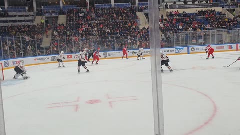 Support group at a hockey match in Russia