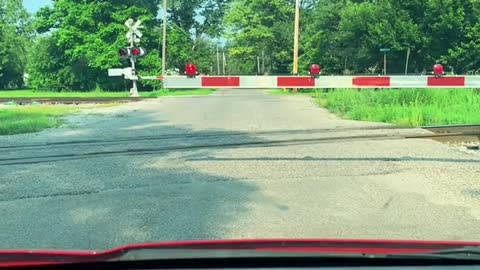 Pleasant Surprise for Disappointed Driver at Train Crossing