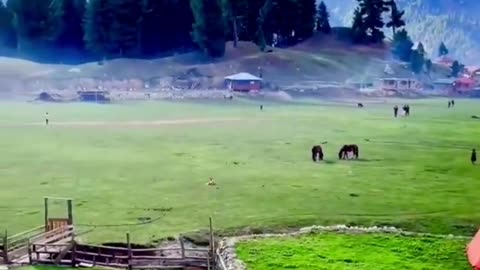 A beautiful valley of Pakistan (Fairy Meadows)...❤️💯
