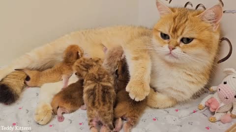 Bassy is so happy to be a mom -- 6th day after birth