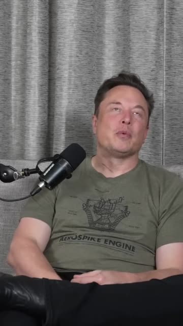 The Writing After the Ice Age - Elon Musk