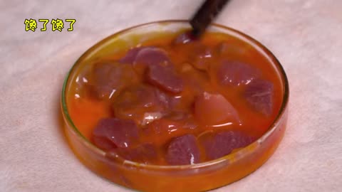 Cute Funny Cat Videos Eating Food ASMR video.