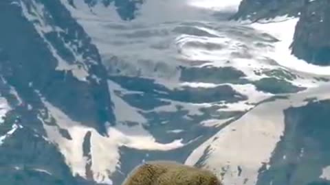 MARAVILLOSO PAISAJE