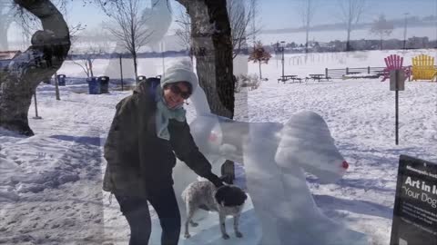 MIA Ice Sculptures Feb 2021