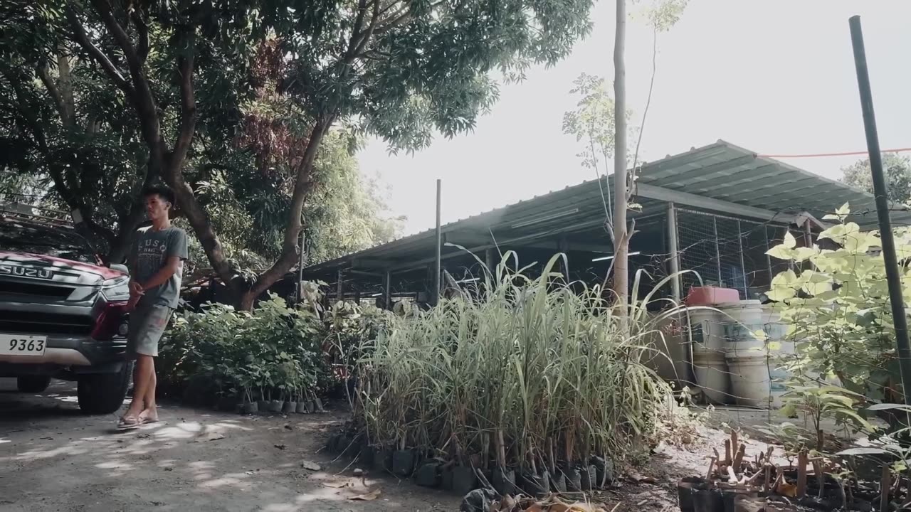 Surviving Against All Odds in the Philippines