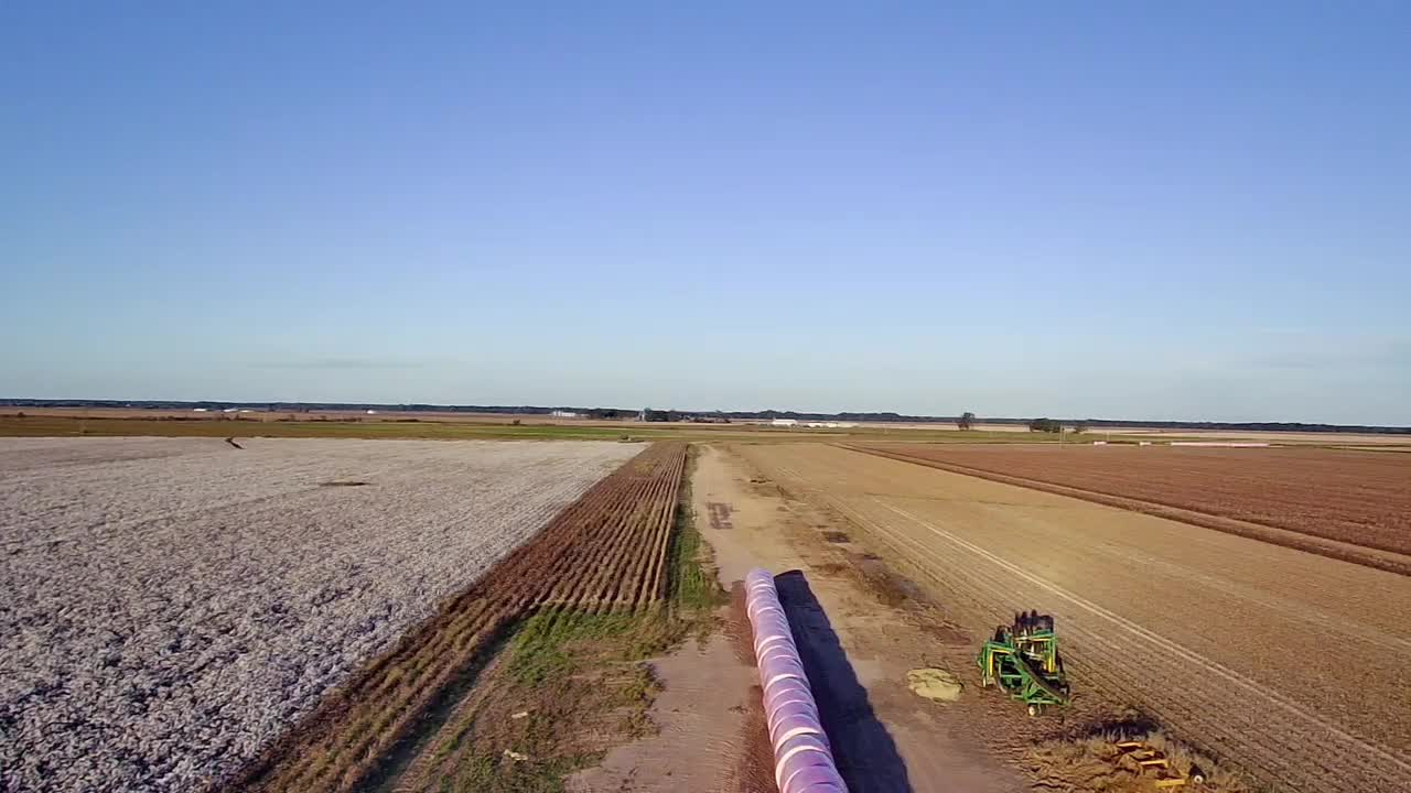 Picking Cotton