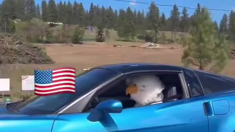 Murika