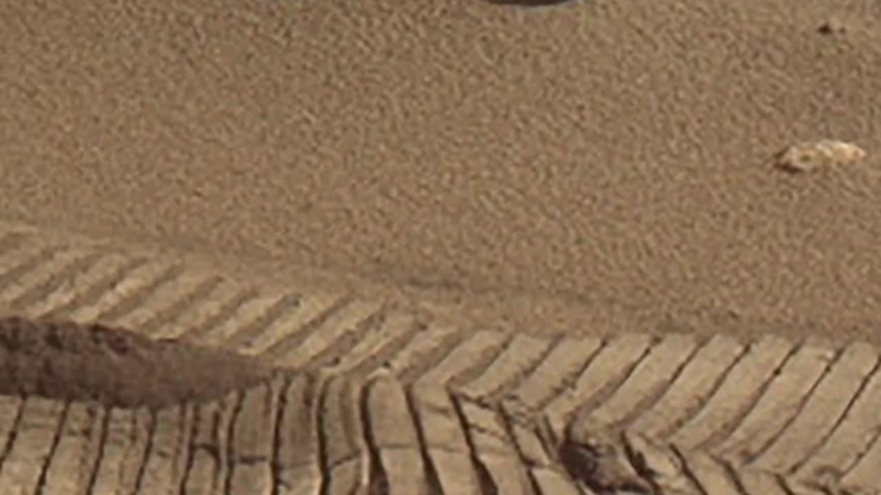 Space photography