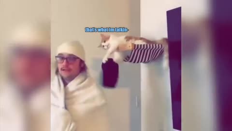 Funny animals dubbing 🤣🤣