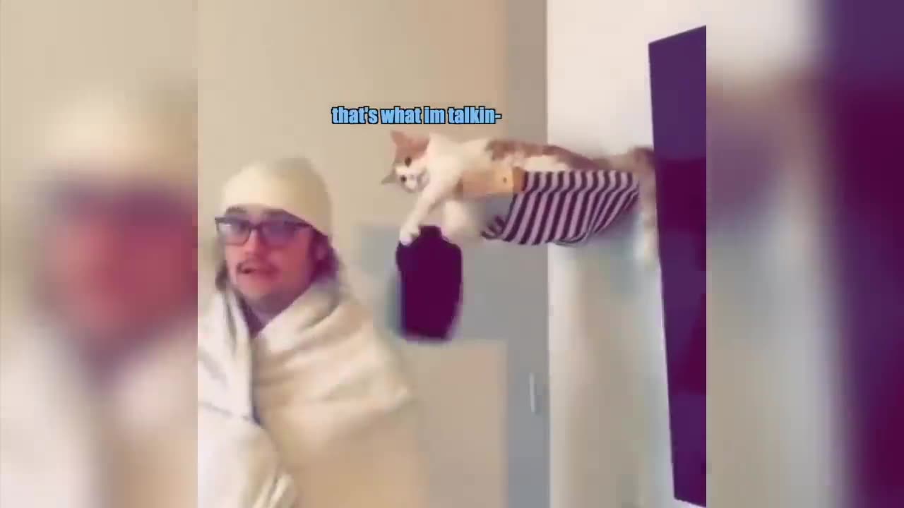 Funny animals dubbing 🤣🤣