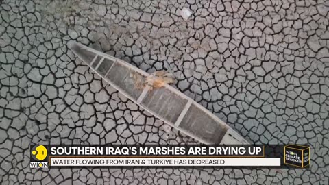 Is Iraq's 'Garden of Eden' lost forever- - WION Climate Tracker - World News