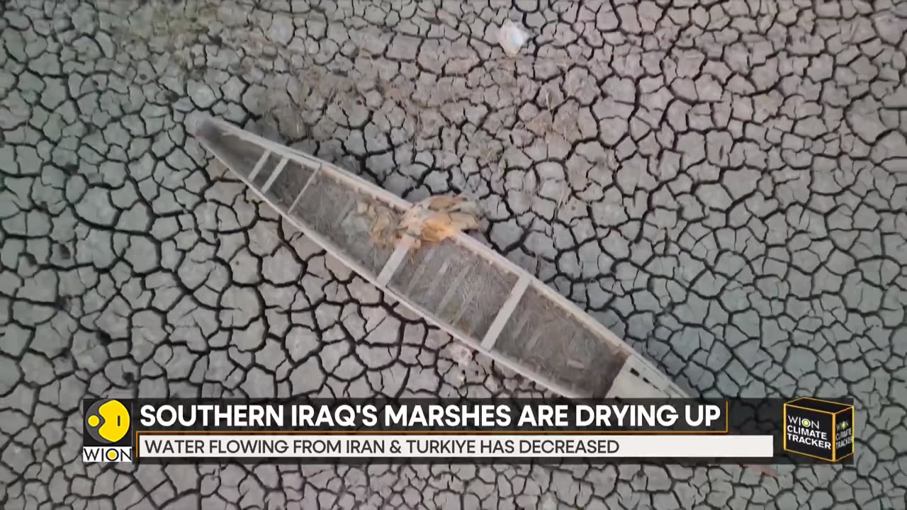 Is Iraq's 'Garden of Eden' lost forever- - WION Climate Tracker - World News