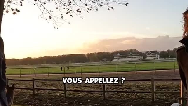 On a tous besoin d'un Roméo dans notre vie 😍