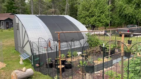 The Ultimate Cattle Panel Greenhouse - Unlike any you've seen before