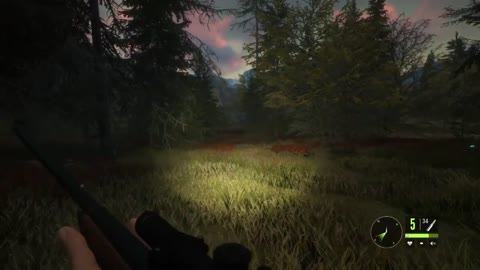 theHunter: Call of the Wild Chapter 10 Blacktail Deer again!