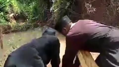 Pseudo-orthodocsii va MINT ca savarsesc botezuri, ALTE NEBOTEZURI in Kenya 11 februarie 2024