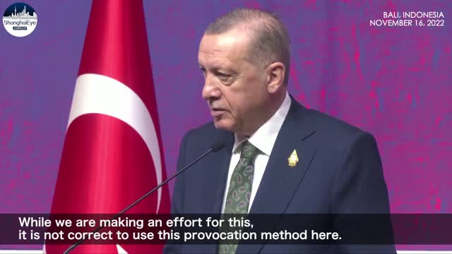 Turkey's Erdogan Russia ‘is not a part of’ Poland blast; to resume 'phone policy' with Putin