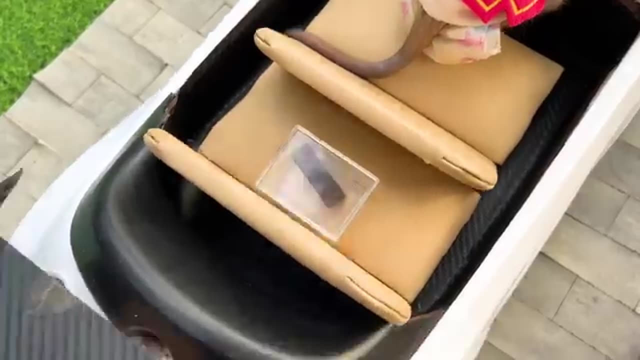 Baby Monkey plays with Ducklings in the swimming pool