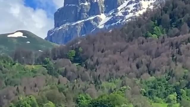 Beautiful Nature