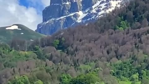 Beautiful Nature
