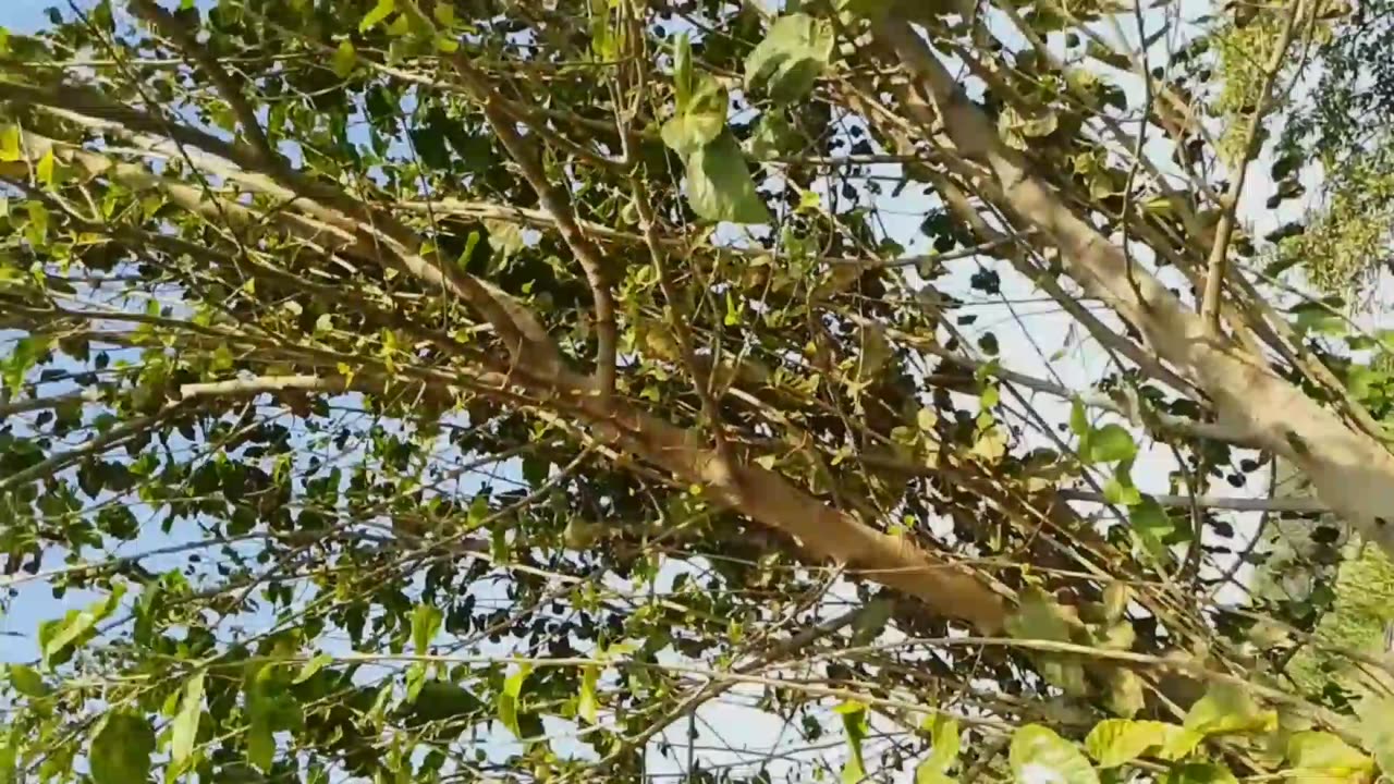 Natural beauty/beautiful places in Pakistan/natural beauty 520
