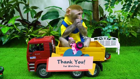 Baby Monkey KiKi playing with ducklings in 30,000 Colorful Ball Pit Balls pool |