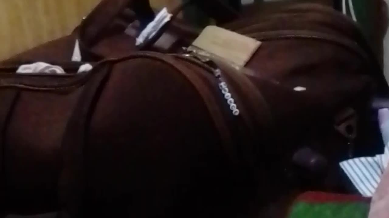 Time travel machine invented by a 14 year old African teenager...