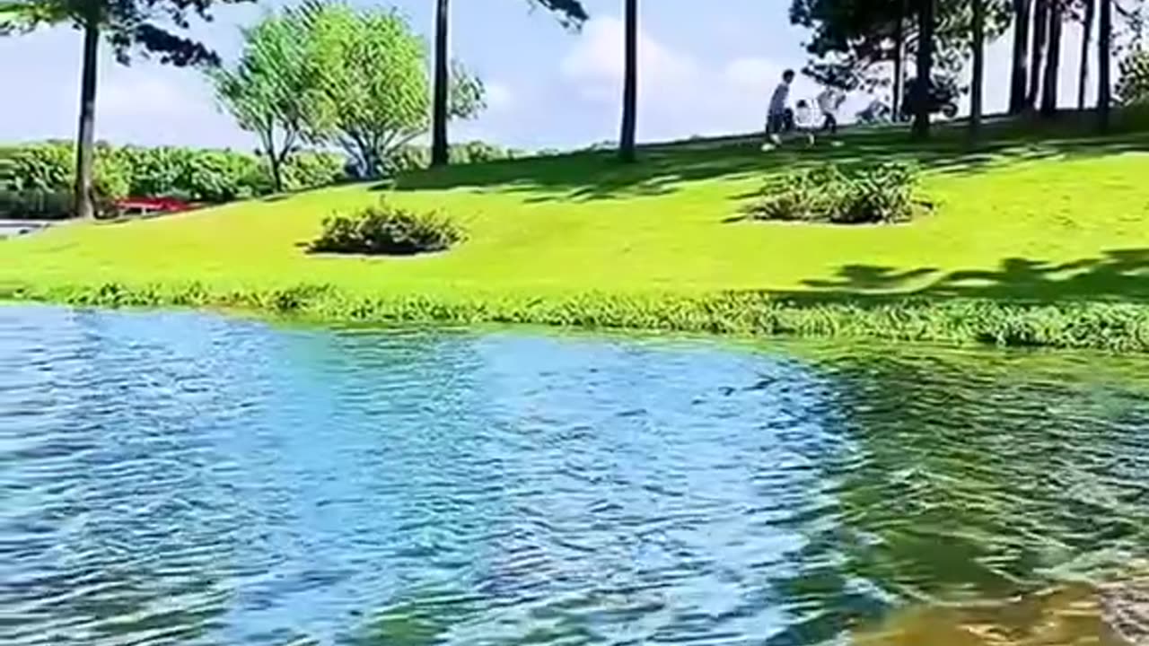 Beautiful flowers natural scenes