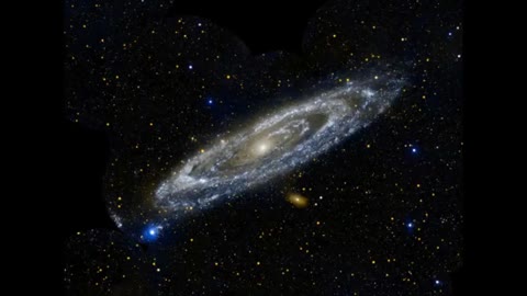 ODDITIES IN FAKE SPACE