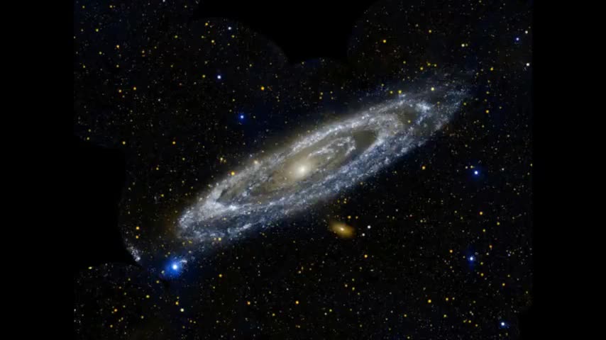 ODDITIES IN FAKE SPACE