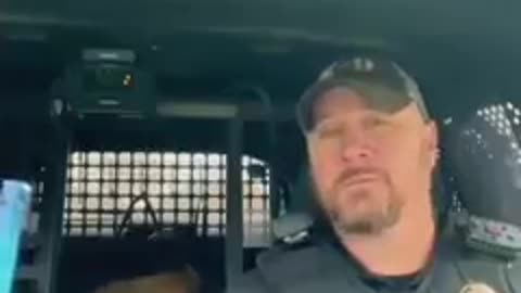 Bark at your dog tik tok challenge😂 funny dogs reaction 😂😂😂