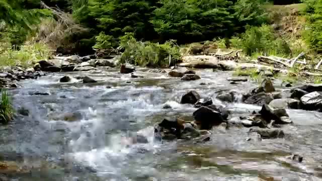 Relaxing, Calm, Stress Relief Music # 107