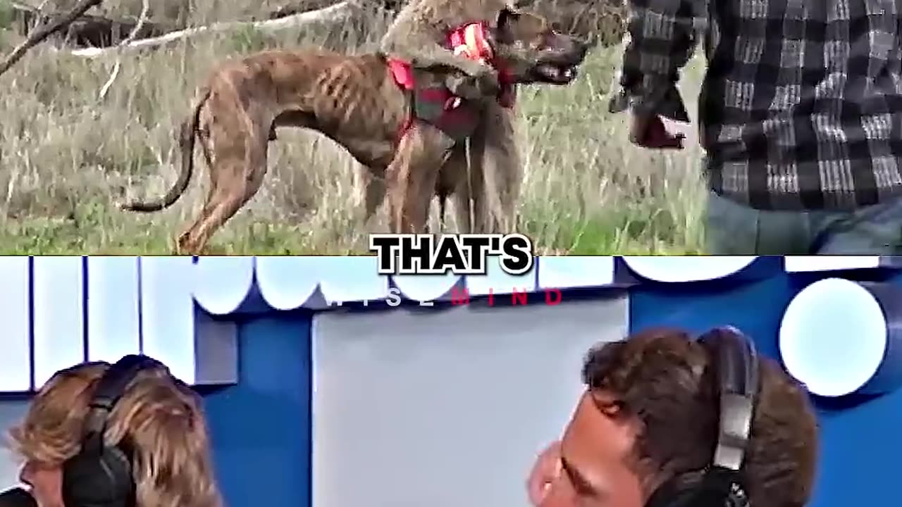 Mike Tyson Laughs at Kangaroo