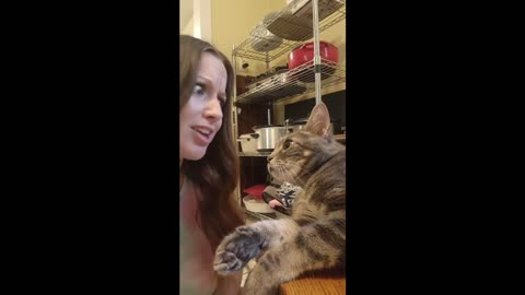 funny animal - hilarious pets that will make you laugh