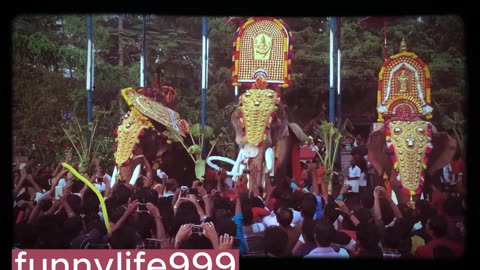 elephants dancing