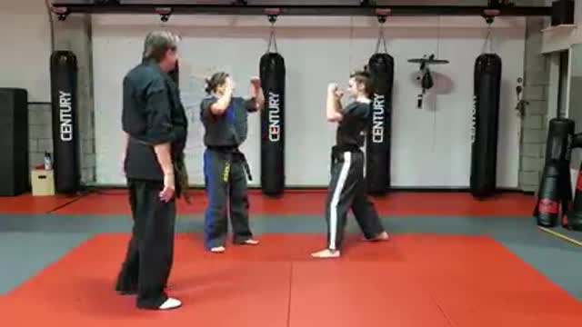 Hapkido