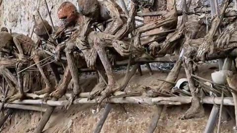 Stories from another World! The Smoked Bodies of the Highlands in Papua New Guinea