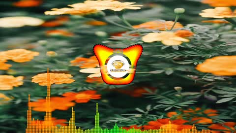 Song: Sapajou - I'll Meet You There