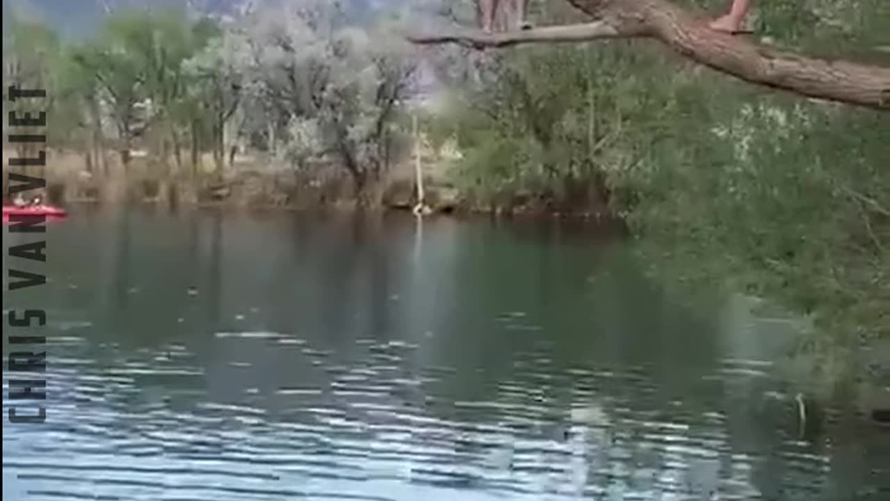 Best Funny Moments ] Amazing moments