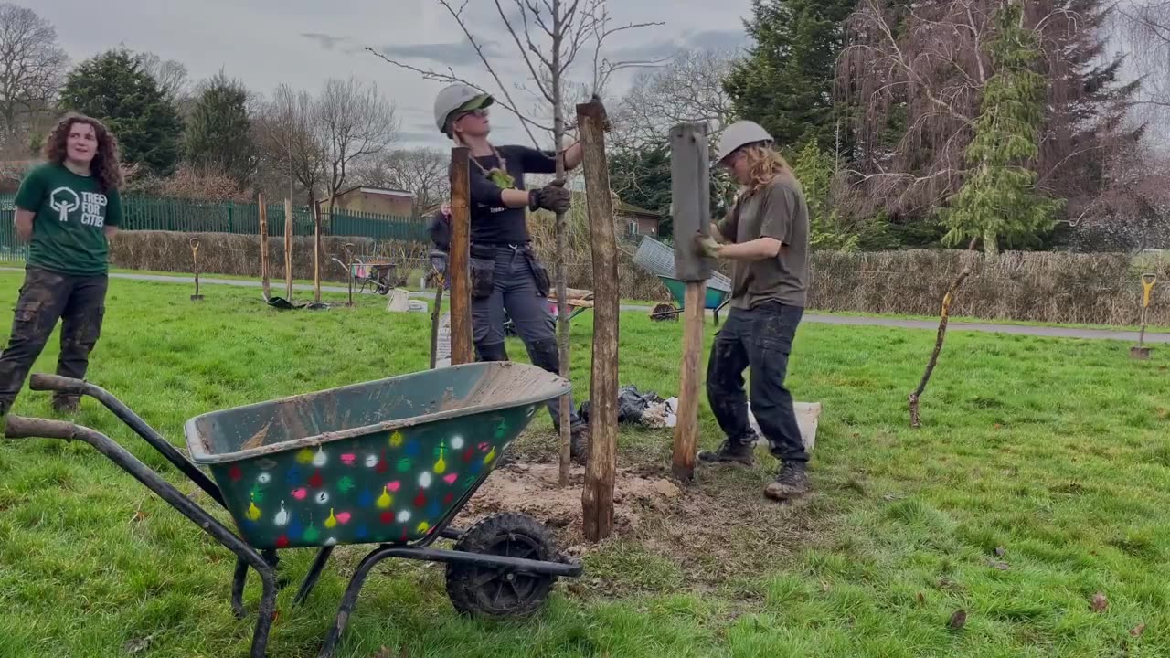 #InternationalWomensDay, we're celebrating the women behind the urban trees!