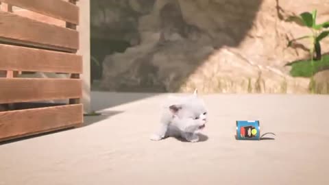 Mighty Mike full of fun white cat and dog video