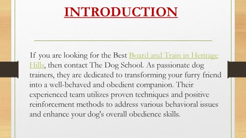 Best Puppy training in Greenbrook